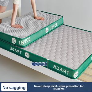 Meiji | Natural Latex Student Dormitory Mattress Hard Flooring Use