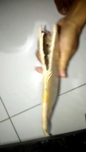 MUDFLAP MIO SPORTY BAHAN AKRILIK PENAHAN LUMPUR MIKA KOLONG AKRILIK