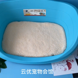 【🔥🔥SG SPOT】Dog Bed Plastic Dog Kennel All-Season Cat and Dog Kennel Winter Pet Bed Summer Cool Bed with Cotton Pad