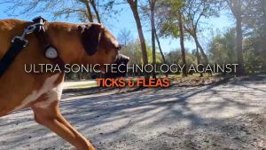 Soundshield Mini - Pets Protection against Ticks and Fleas