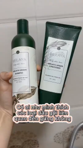 [TEM PHỤ + VAT] Cặp dầu gội và dầu xả tóc thảo dược gừng trắng ngừa gàu ngăn rụng và kích thích mọc tóc Weilaiya Ginger Shampoo/Conditioner
