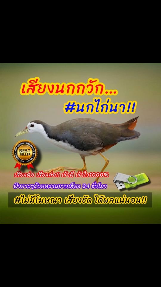 เสียงนกกวัก เสียงต่อนกกวัก เสียงนกไก่นา ต่อเข้าเร็ว USBแฟลชไดร์ฟเสียงต่อนกกวัก เสียงดี ชัด100% ไม่มีโฆษณาแทรก (MP3 เสียงต่อสัตว์)
