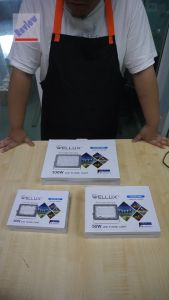 สปอตไลท์ LED 30W (H-19)