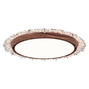 DGY | Bladeless Ceiling Fan Light 255F