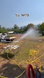 ด้ามพ่นยา DENA ของแท้ รุ่น M79 ก้านพ่นยา หัวฉีดผลิตจากทองเหลืองแท้ ความยาว 33 CM