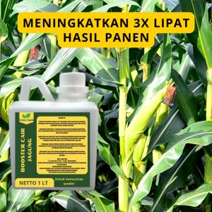 Pupuk Semprot Pelebat JAGUNG Pupuk Pelebat JAGUNG Pupuk Penyubur JAGUNG ZPT