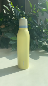 ChillTa Tumbler 24oz Hot and Cold with Straw Tumbler OWALA Water Bottle 316 Stainless Steel Flask