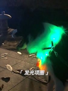 Po&Co Led Usb Dog Collar Pet Night Luminous Charge Leash Light Night Safety Flashing Glow Dog Loss Prevention Harness Pet Accessories