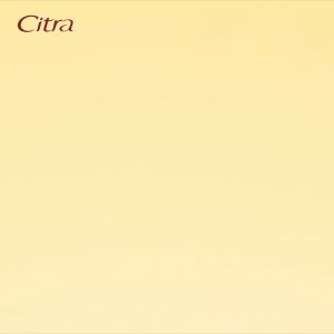 Citra UV Body Lotion Perfect Bright Bengkoang 380ml