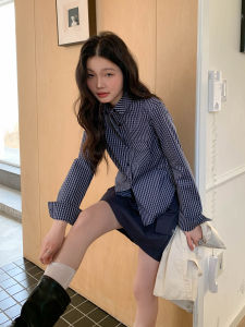 Blue Checkered Long Sleeve Shirt Spring