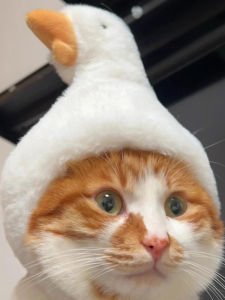Funny Costume Hat for Cats And Dogs Universal Pet Accessories Duckling Cat Lion Rabbit Ear Fish Burn Bee Hat Ensemble Accessory