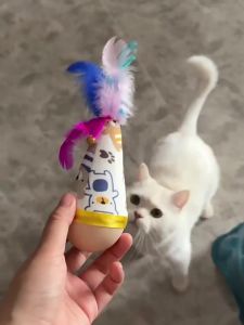 Entertainment Exercise Cat Toy