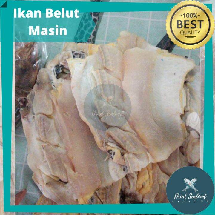 Ikan Belut Masin Kering Lazada