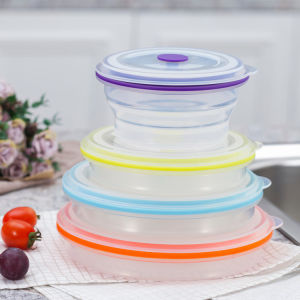Pure Silicone Foldable Food Storage Container