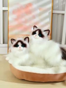 Cute Simulation Ragdoll Cat Plush Toy Soft Stuffed Kitten Realist Animals Home Decor Accompany Sleep Toy for Kids Birthday Gifts