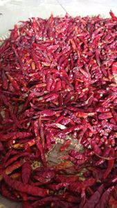 1kg CABE TEJA KERING TANPA TANGKAI KUALITAS SUPER PEDAS