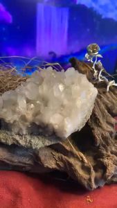 Bụi đá Thạch Anh dễ thương clear Quartz tán sắc lắp lánh phong thủy sưu tầm mã 415