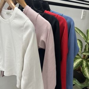 Áo Kiểu Croptop Tay Dài Form Trơn Tuyếts House B5-1