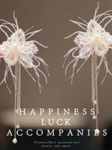 Fairy Feathers Tassel Hair Clips