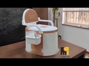 A Comprehensive Guide to Mobile Toilets for Elderly, Pregnant Adults & Travelers