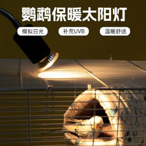 Parrot Special Insulated Heating Lamp Bird Cage Winter Survival Warmth Light Tiger Lily Peacock Cozy up Lighting Device