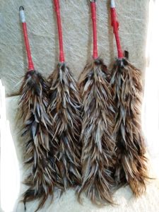 Feather Duster Pamagpag