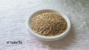 เมล็ดทานตะวัน แกะเปลือก อบพร้อมทาน กรอบ อร่อย เคี้ยวเพลิน ธัญพืชเพื่อสุขภาพ