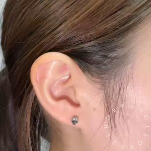 D58 Korea Pierced Stud Earrings Personality Skull Earrings Punk Mens Stud Earrings