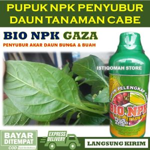 Pupuk Daun Cabe Yang Bagus Musim Hujan NPK GAZA 500ML Pupuk NPK Cair Pupuk Perangsang Daun Dan Bunga Cabai Pupuk Penghijau Daun Cabe Pupuk Menghijaukan Daun Cabe Pupuk Daun Untuk Tanaman Cabe Merah Pupuk Daun Organik Untuk Cabe Paling Bagus