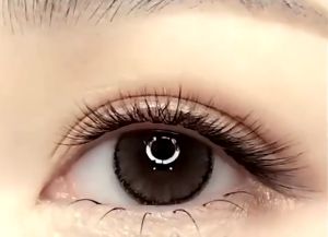 10Rows/8Rows/5Rows 30D 40D Mink Extension Eyelashes 5 Rows 100Clusters 10D 20D Natural Soft Thick False Eyelashes