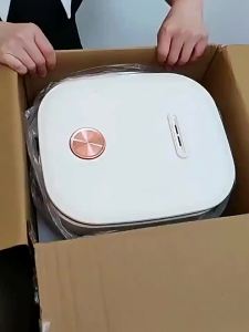 Cross-border Rice Cooker Household Rice Cooker Rice Cooker 110v  Small Smart Home Appliance Exported from the USA to Taiwan
