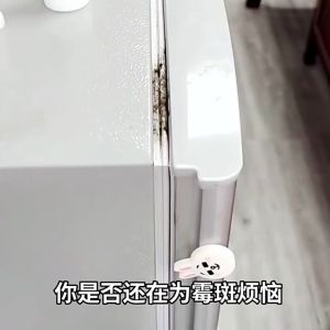 SG Mould Remover Gel Mildew Mold Remover Cleaner Toilet Wall Home Cleaning Mold cleaner