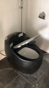 Bồn cầu quả trứng bệt vệ sinh men (Đen trắng hồng) nhập cẩu cao cấp GROVES R22