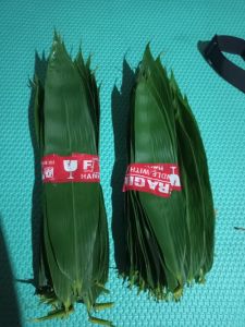 Daun bambu segar buat bacang 50 lembar daun bambu jumbo buat bacang