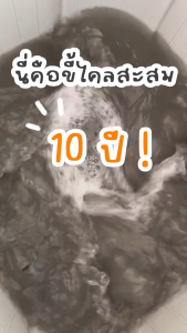 LOGESKI น้ำยาล้างเครื่องซักผ้า ขจัดเชื้อรา คราบตะกรัน คราบฝังแน่น ไม่ต้องแช่ ลดกลิ่นอับทันที