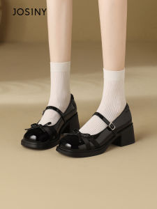 Josiny | French Mary Jane Thick Heel Pumps