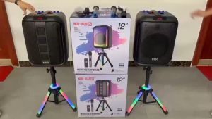 NDR-102A: A Comprehensive Guide to 12 Inch Outdoor Speakers & Wireless Microphone System