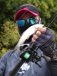 HISTAR | Stream Black Pit Light Fishing Spinning Rod Set