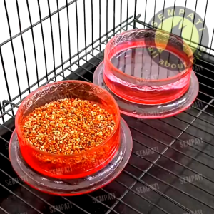 SEMPATI GROSIR TM Tempat Makan Minum Hamster Marmut Kucing Kitten Sugar Glider Landak Mini Isi 50 Pcs Cepuk Mangkok Piring Wadah Makanan Hamster Feeding Bowl Hamster Food Plate