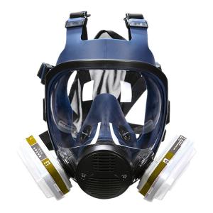 TAODUN | Chemical Protection Full Face Mask