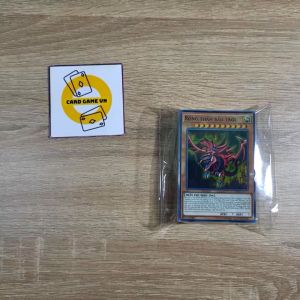 [HCM][BÀI IN] Bài YuGiOh Tiếng Việt/Anh - Hộp Thẻ Bài FullBox - Bộ 45 lá bài Structure Deck của YuGi Muto - Card Game VN