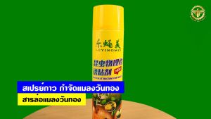 สเปรย์กาว กำจัดแมลงวันทอง ((มีหลายตัวเลือก))