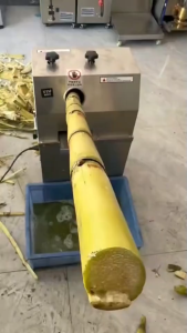 Commercia sugarcane juicer stainless steel electric new desktop/vertical plug-in voltage juicer 220V