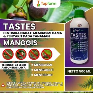 Obat Pembasmi Hama Manggis: Perlindungan Optimal untuk Tanaman Manggis