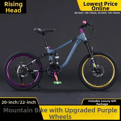 Dual Shock Disc Brake Variable Speed Mountain Bike 20 inch