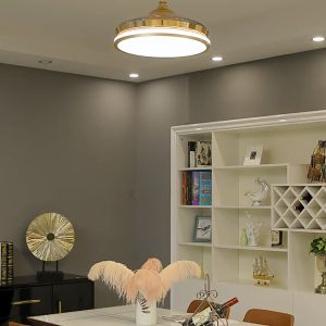 CHNT 42/48Inch Ceiling Fan With Light: A Comprehensive Guide