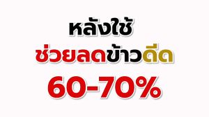 B-Soil บีซอยส์พลัส ข้าวดีด คุมเลน ปรับปรุงดิน1000 ซีซี 1ขวด