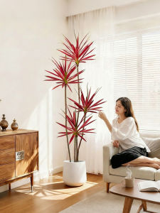 Luxury Decorative Plant