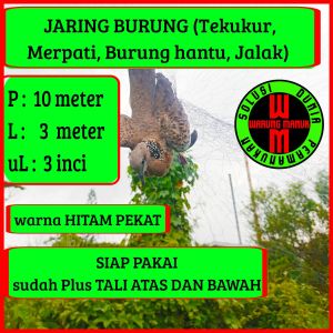 jaring burung tekukur 10 meter jaring burung derkuku 3 inci jaring burung podang siap pakai jaring burung hantu jaring burung besar siap pakai jaring burung jalak jaring burung merbah jaring burung merpati jaring burung bandangan