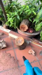 Máy Thổi Hút Bụi Cầm Tay Makita Động Cơ Lõi Đồng 680W Công Suất Lớn Để Hút Thổi Bụi Ô Tô Gia Đình Nhà Xưởng